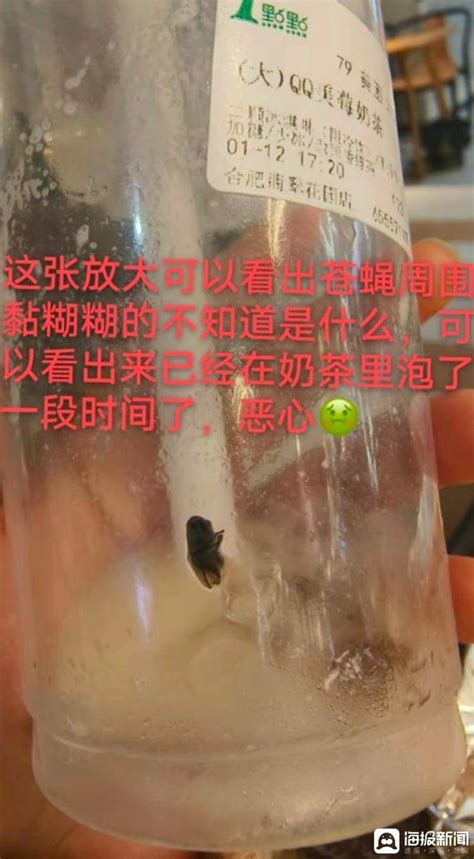 【1024·恶心】网红奶茶中喝出黑色异物，专家判断为蟑螂卵！_网友