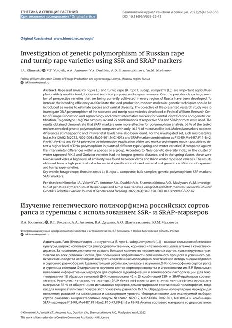 (PDF) Investigation of genetic polymorphism of Russian rape and turnip ...