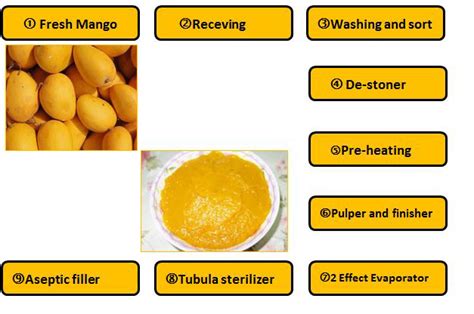 Mango Pulp Process 的图像结果