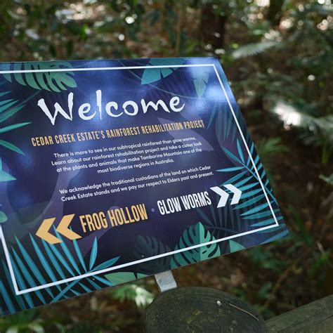 TAMBORINE MOUNTAIN GLOW WORM CAVES (2024) All You Need to Know BEFORE ...