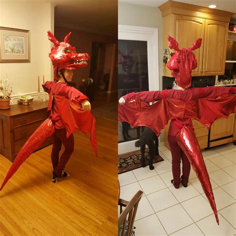 Shrek Dragon Costume