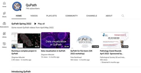 Image result for QuPath Basics