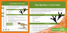 What is a T Rex? | T Rex Facts for Kids | Twinkl USA
