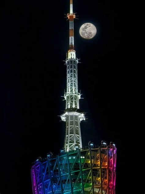 Il primo scatto ufficiale catturato con Huawei P60 è sorprendente