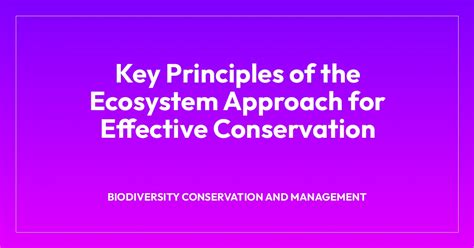 Image result for Ecosystem Approach