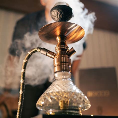 1000+ real photos Cocoyaya Hookah | customer images | smoke – shopdop.in