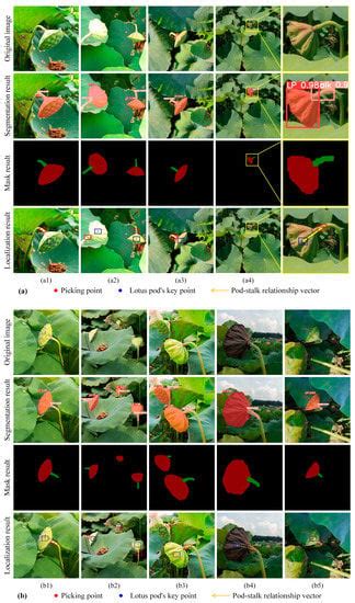 Instance Segmentation of Lotus Pods and Stalks in Unstructured Planting ...