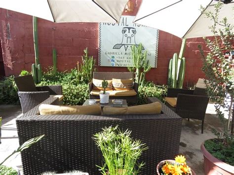 HOSTAL ASHPAI (Vicuna) - Hostel Reviews & Photos - Tripadvisor