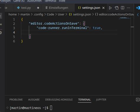Image result for Vscode Terminal Output Python