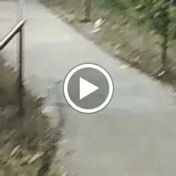 Kailashpati Mahadev Temple, Panchkula - Hindu temple - Panchkula ...