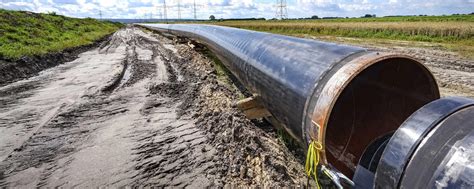 Biomethan im Erdgasnetz: Diese Kosten kommen auf Biogasanlagenbetreiber ...