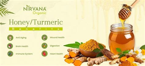 Top 10 Benefits of Turmeric and Honey in Winters