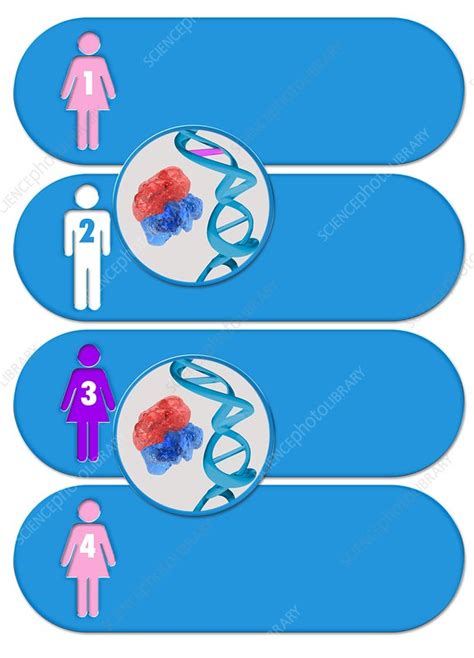 Sign of Parent Process 的图像结果