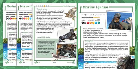 Endangered Species Day Marine Iguana Differentiated Fact File
