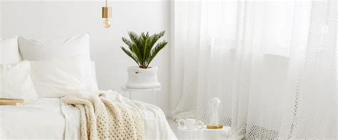 Shop All – Mulberry Living