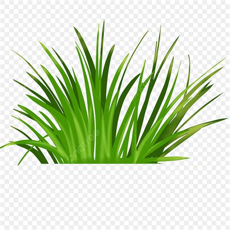 Grass Clip Art