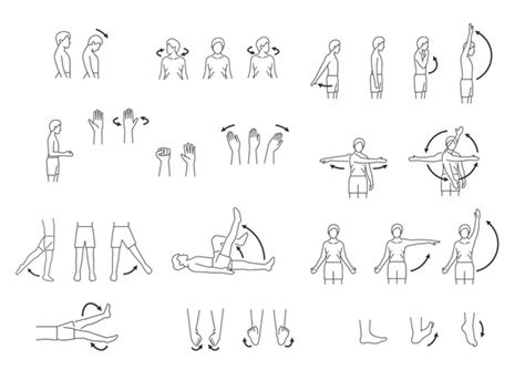 Rotary Machine Exercise Illustrations 的图像结果