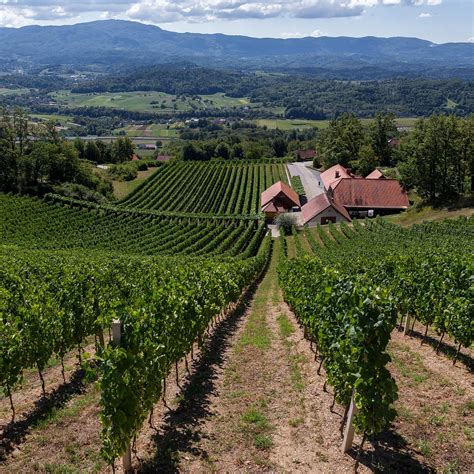 VINSKA KLET COLNAR (2026) All You Need to Know BEFORE You Go (with ...