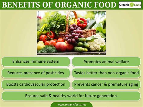 Healthy Organic Food 的图像结果