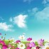 Image result for Spring Bunnies HD Wallpaper