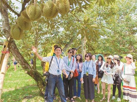 自家果园起名,起名改名,起名改名图片(第10页)_大山谷图库