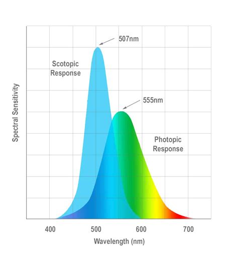 How Do Eyes See In The Dark: From Scotopic To Photopic Vision