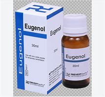 Eugenol 的图像结果