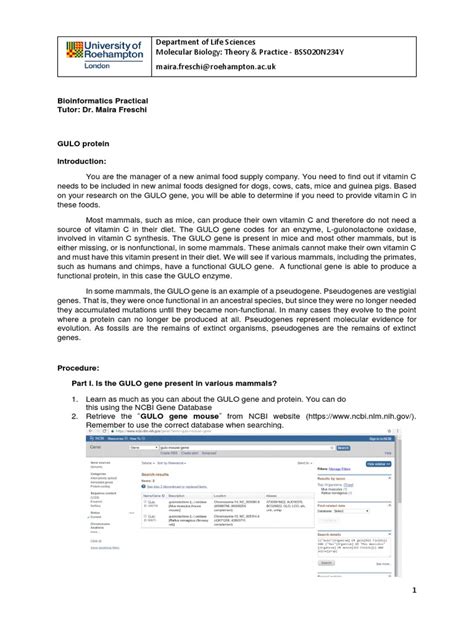 Blast Biotechnology Example 的图像结果