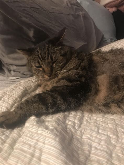 Ultrasound tomorrow for mass in stomach. I don’t want attention, just your prayers please for ...