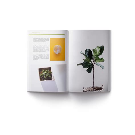 InDesign 的图像结果