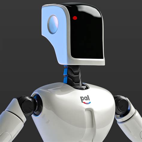 Pal Robot 的图像结果
