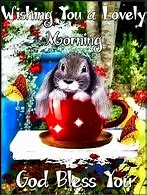 Image result for Good Morning Mimi Bunny