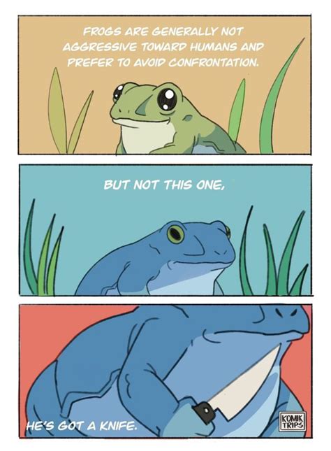 Angelo the frog | Animals | Know Your Meme