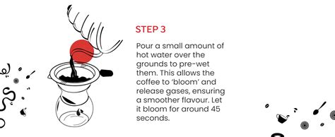 Buy Sipologie Chemex Pour Over Drip Coffee Maker: Stainless Steel ...