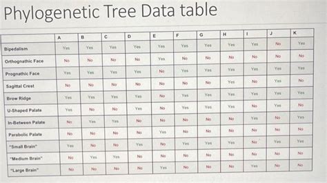 Image result for Create a Phylogenetic Tree Based On a Data Matrix