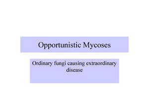 Quantitative Immunoelectrophoresis - QUANTITATIVE IMMUNOELECTROPHORESIS ...