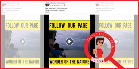 Alien On Video 的图像结果