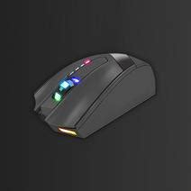Image result for Mouse Conversion