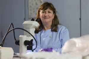 Professor Lorna Dawson named Dame Commander of the Order of the British ...