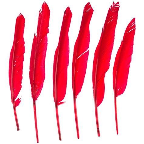 Craft Feathers | Hobby Lobby | 245936