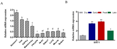 Sirtuin 1 Inhibits Fatty Acid Synthesis through Forkhead Box Protein O1 ...