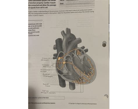 Image result for Conduction Worksheet
