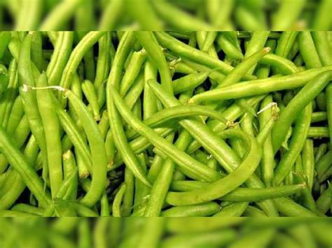 how to prevent accumulation of cholesterol in veins eat these ...