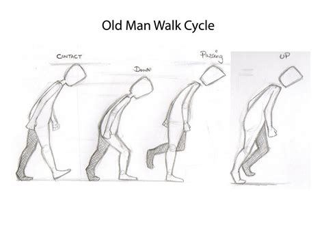 Walking cycle inspiration for the beginning of animation. Looking at ...