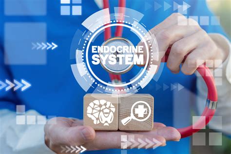 De novo - Definition and Examples | Biology Online