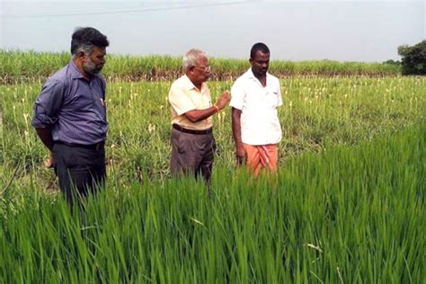 Shri A.M.M. Murugappa Chettiar Research Centre (MCRC) - What We Do ...