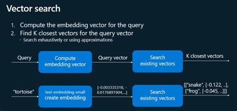 Image result for Vecotor Image SQL Script