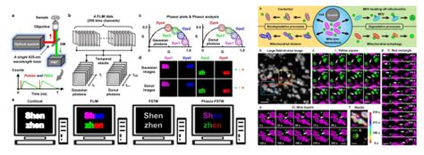 光 科学 的图像结果