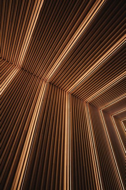 Pixabay Free High Resolution 的图像结果