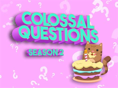 Image result for Colossal Questions Space